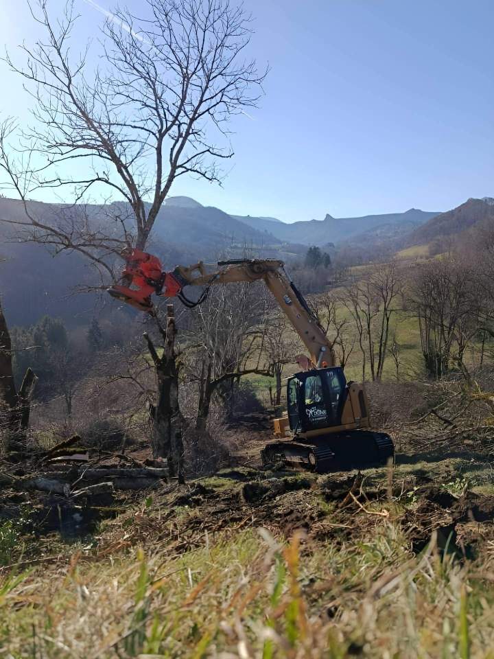 Élagage professionnel Rochefort-Montagne
