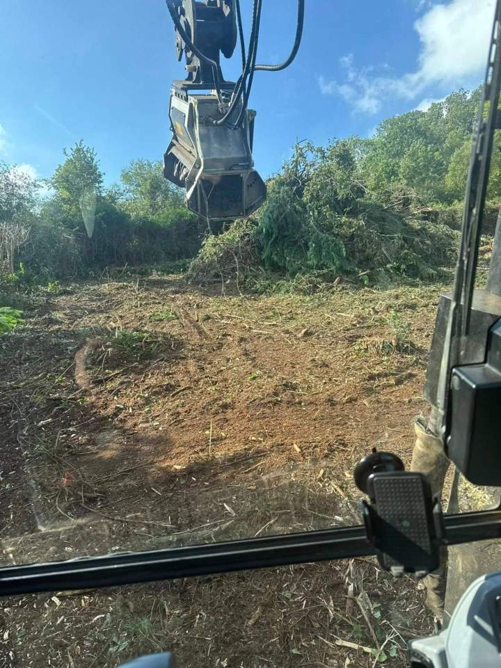 Débroussaillage forestier Rochefort-Montagne