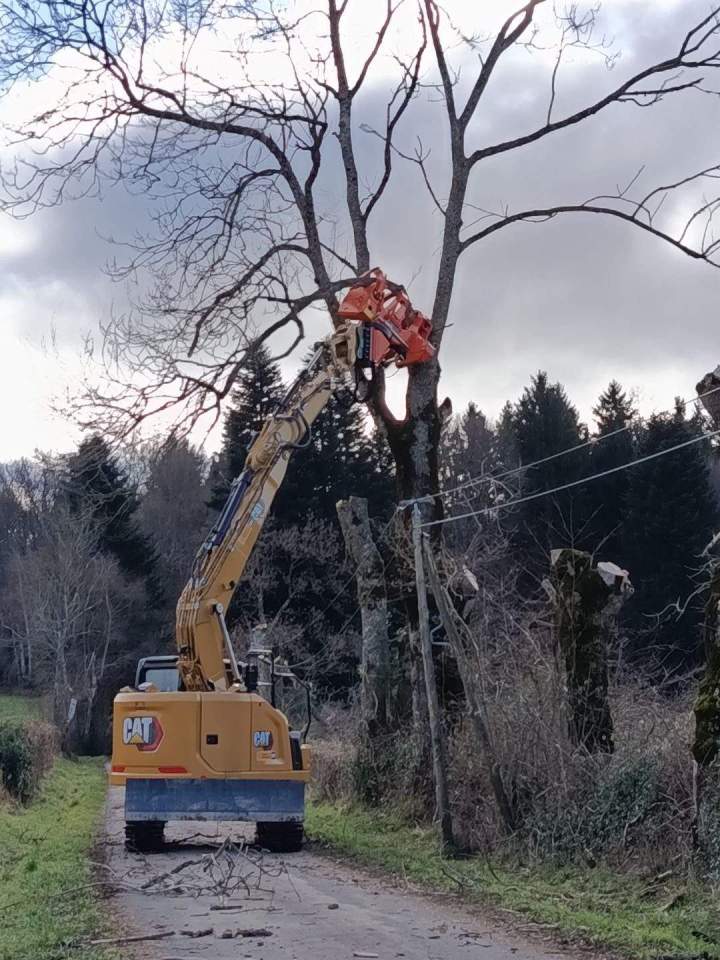 Opération d'élagage Rochefort Montagne